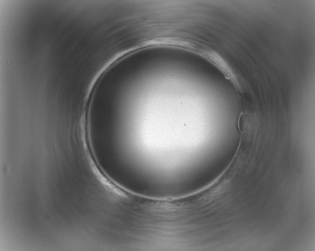 X0000068811100200605081113