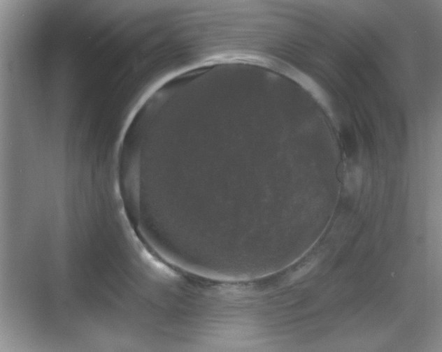 X0000068811102200605081113