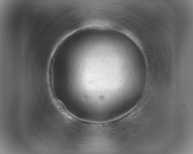 X0000068811104200605081113