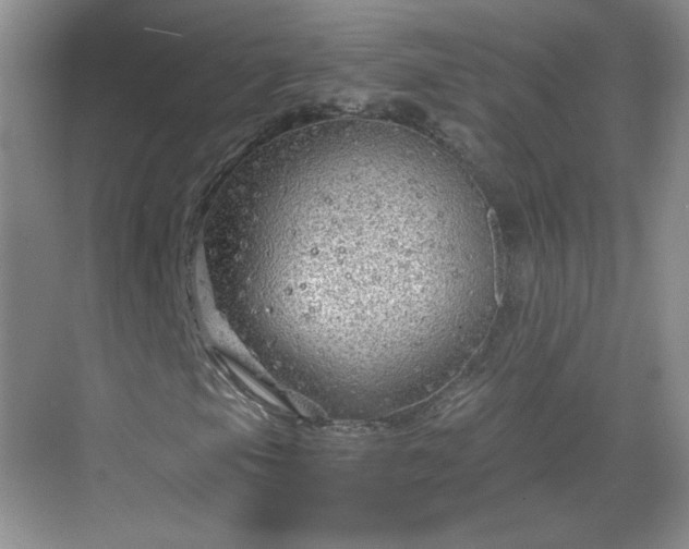 X0000068811105200605081112