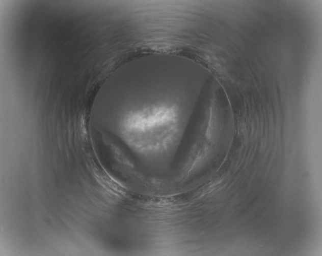 X0000068811106200605081112