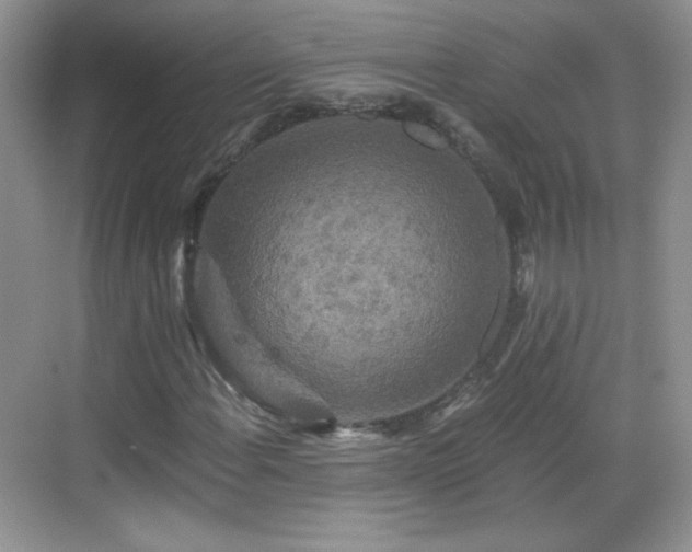 X0000068811108200605081112