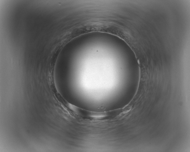 X0000068811109200605081112