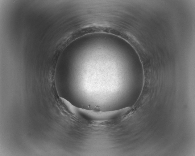 X0000068811110200605081112