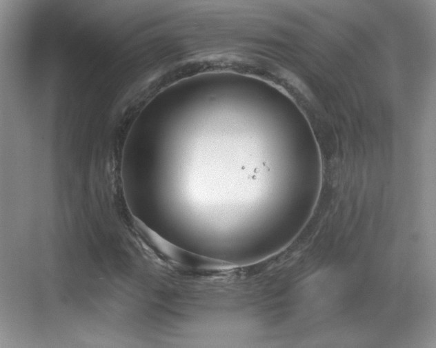 X0000068811111200605081112