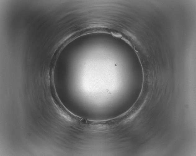 X0000068811113200605081112