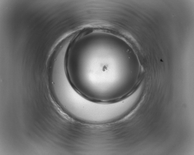 X0000068811114200605081112