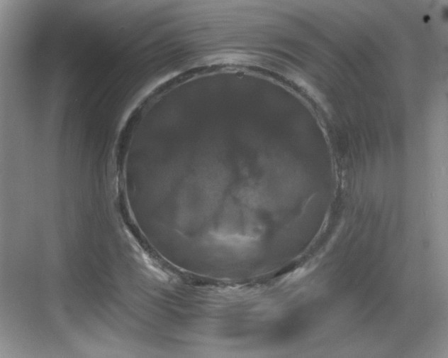 X0000068811117200605081112