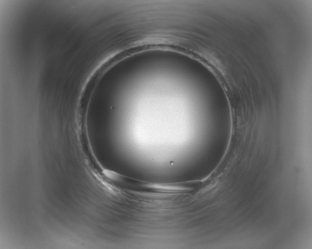 X0000068811119200605081112