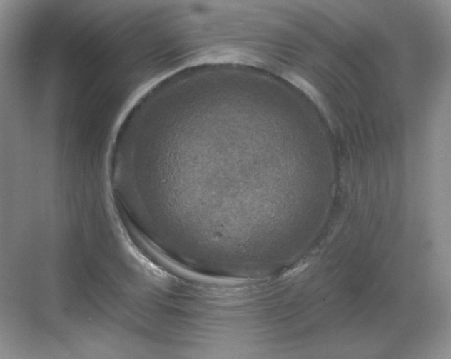 X0000068811120200605081112