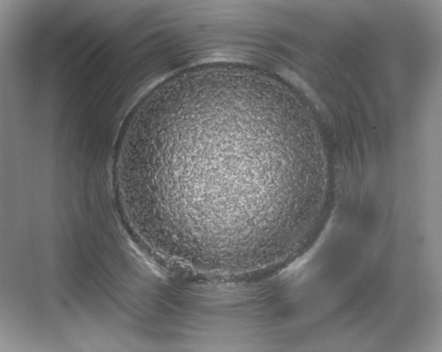 X0000068811121200605081112