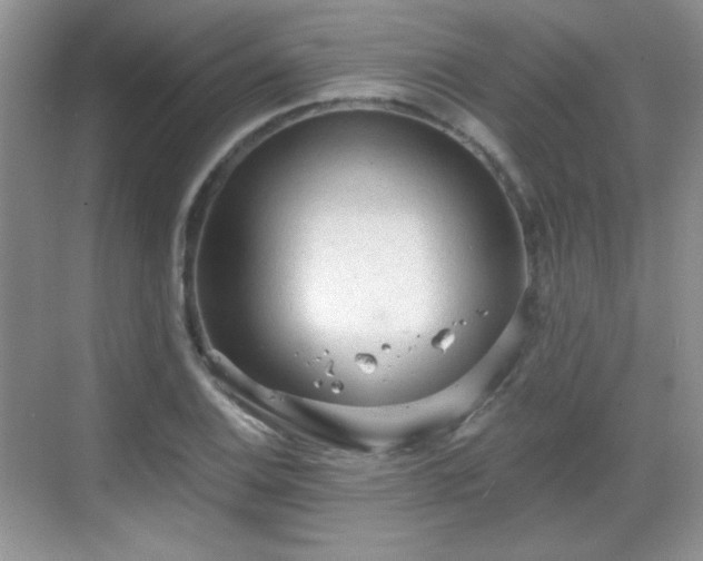 X0000068811124200605081112