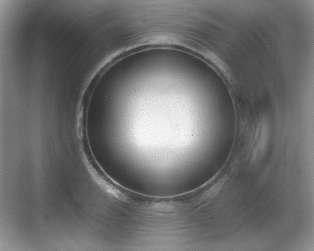 X0000068811126200605081112