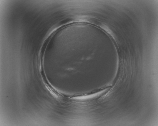 X0000068811127200605081112