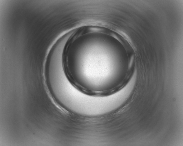 X0000068811128200605081112