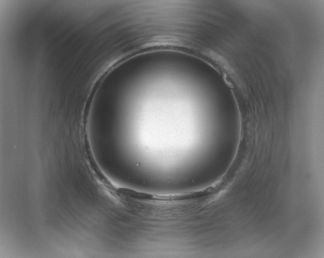 X0000068811129200605081112