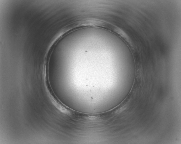 X0000068811130200605081112