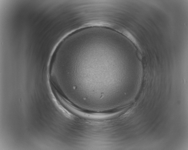 X0000068811132200605081112