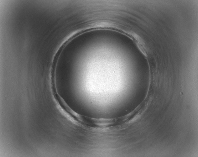 X0000068811134200605081112