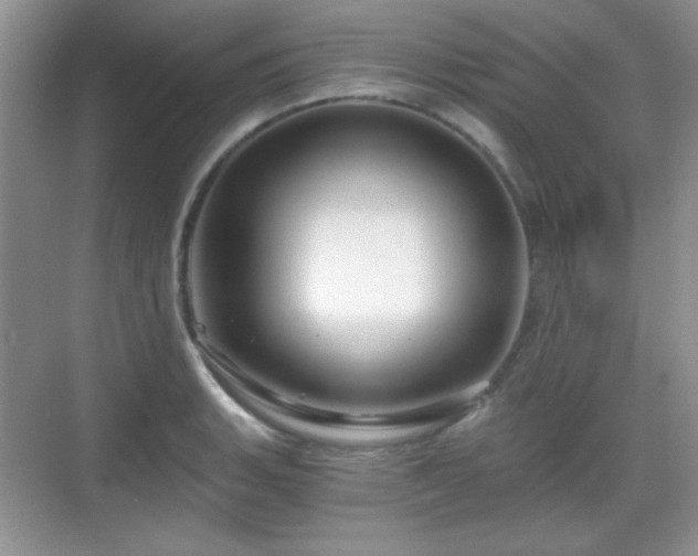 X0000068811135200605081112