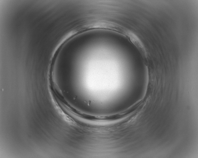 X0000068811138200605081113