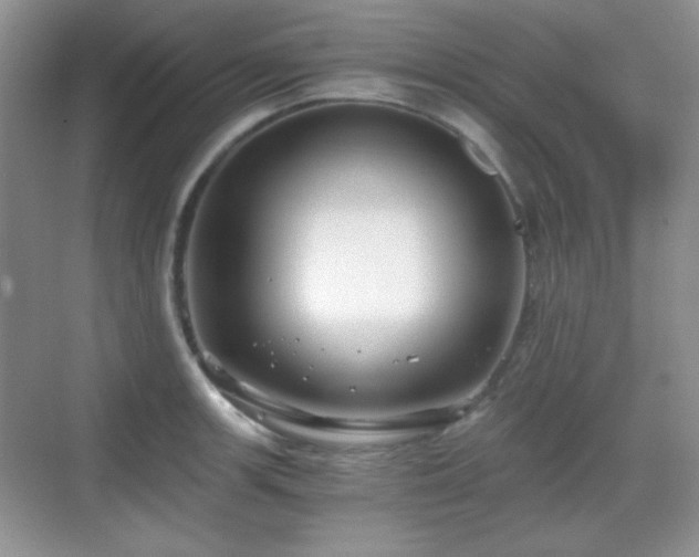 X0000068811139200605081113