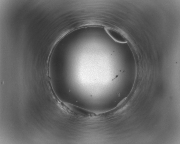 X0000068811145200605081113