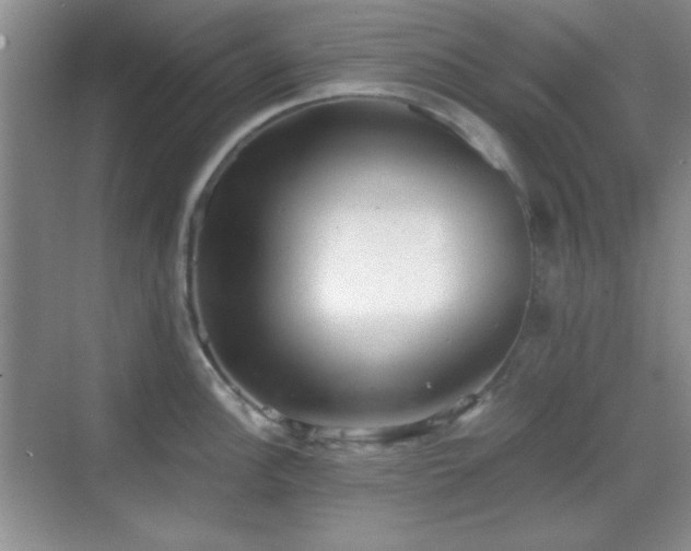 X0000068811148200605081113