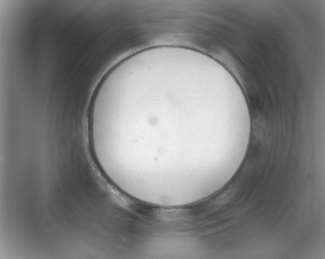 X0000068811150200605081113