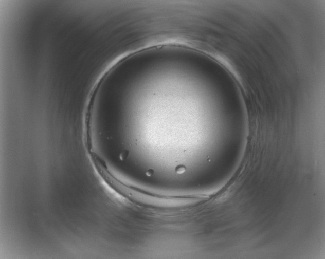 X0000068811151200605081113