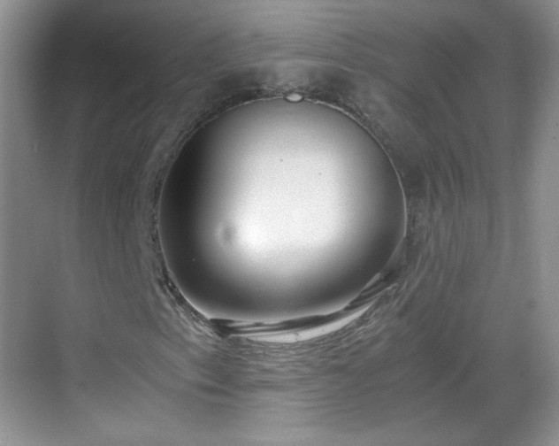 X0000068811153200605081112