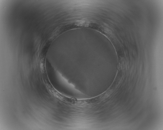 X0000068811154200605081112