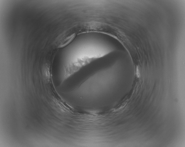 X0000068811155200605081112