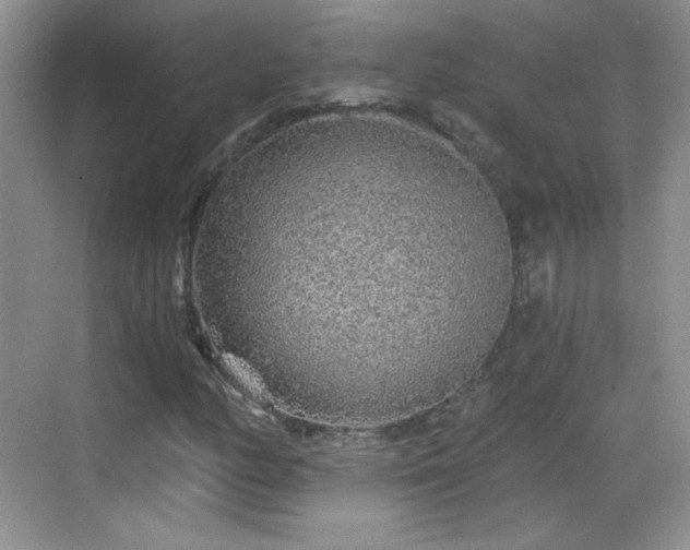 X0000068811158200605081112