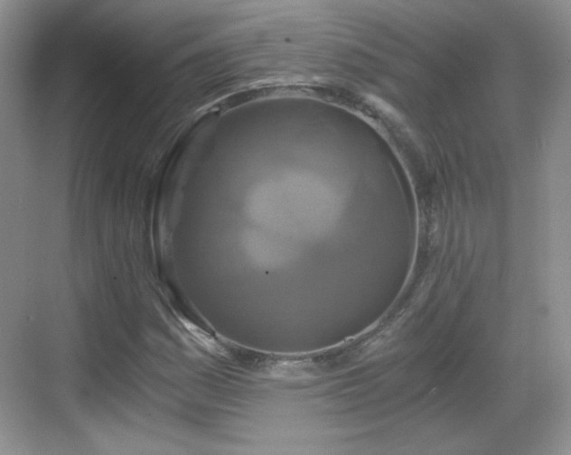 X0000068811161200605081112