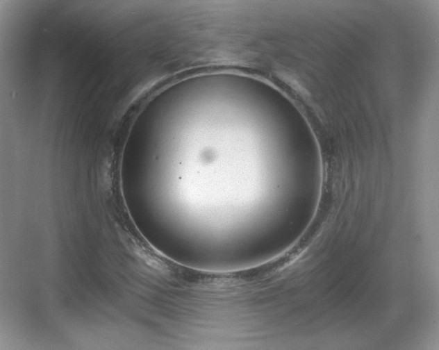 X0000068811163200605081112