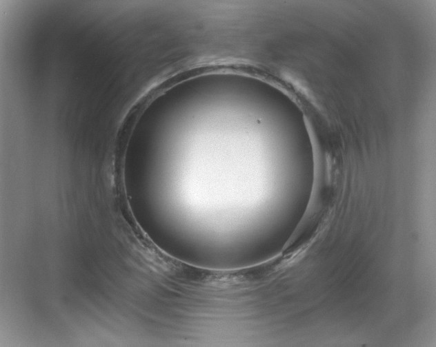 X0000068811165200605081112