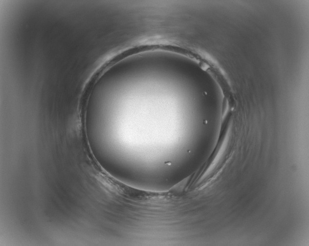 X0000068811167200605081112