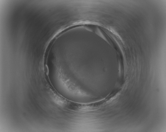 X0000068811173200605081112