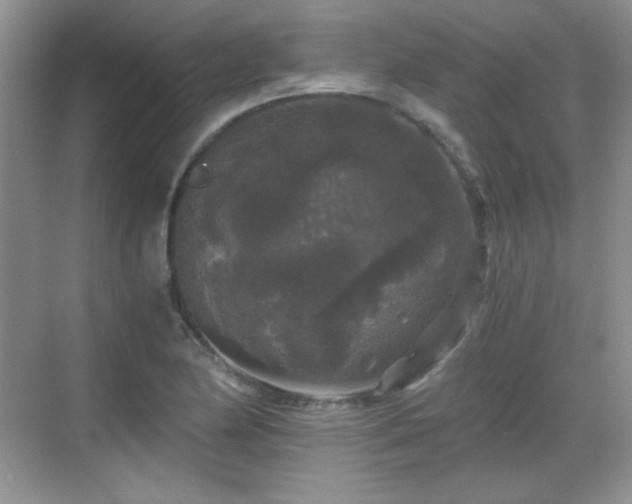 X0000068811174200605081112