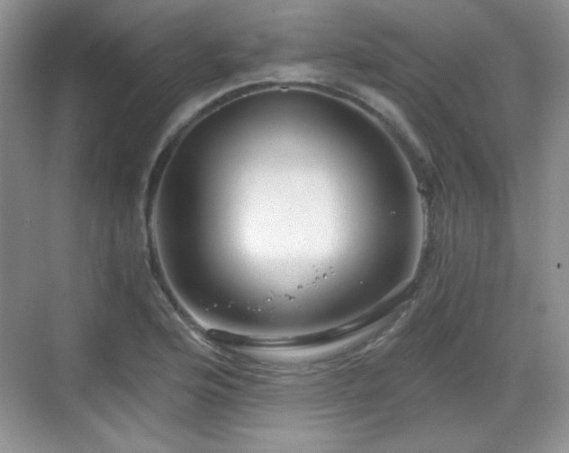 X0000068811176200605081112