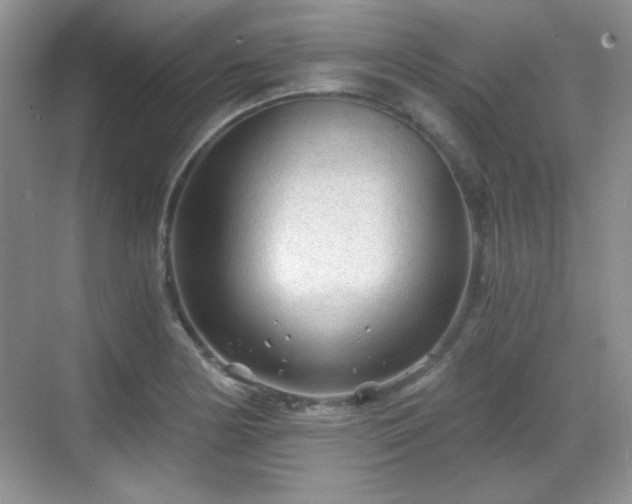 X0000068811178200605081112