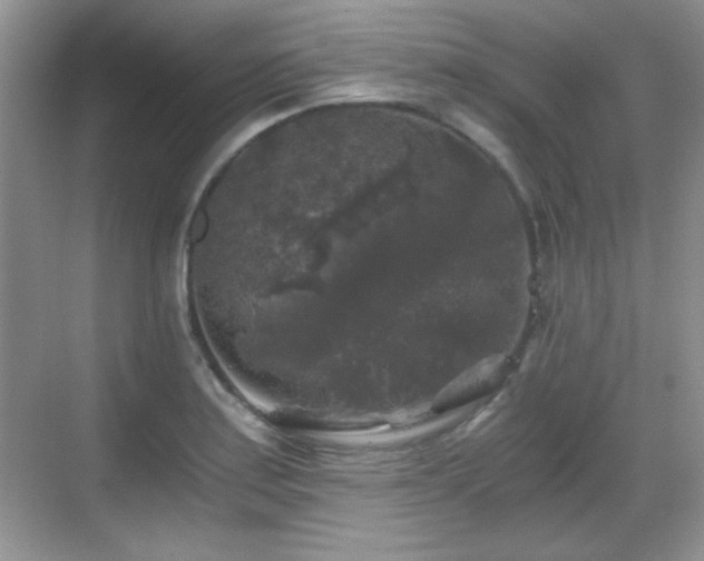 X0000068811179200605081112