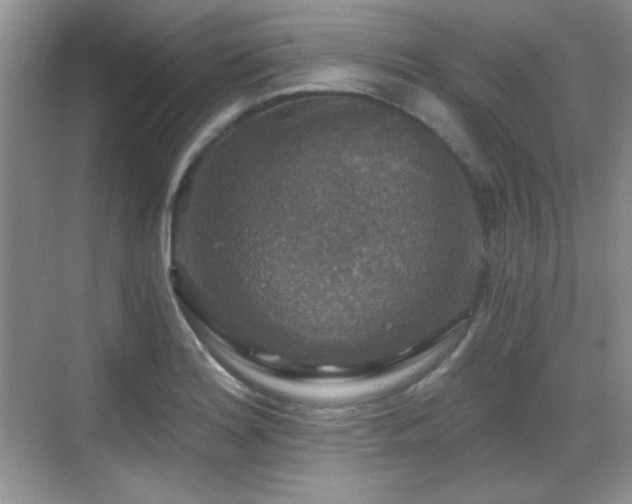 X0000068811180200605081112