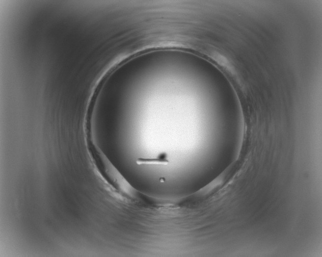 X0000068811181200605081111