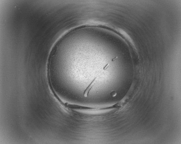 X0000068811183200605081111