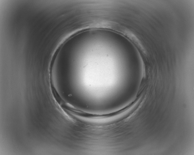 X0000068811184200605081111