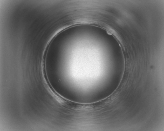 X0000068811187200605081111