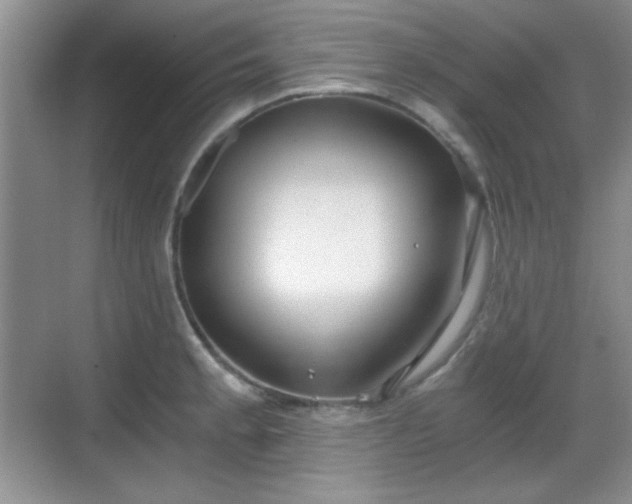 X0000068811189200605081111