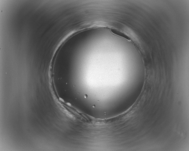 X0000068811190200605081111